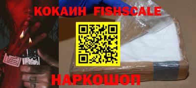 шишки Кимры
