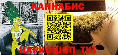 шишки Кимры