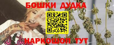 шишки Кимры