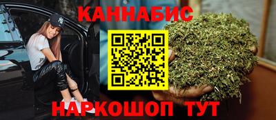 шишки Кимры