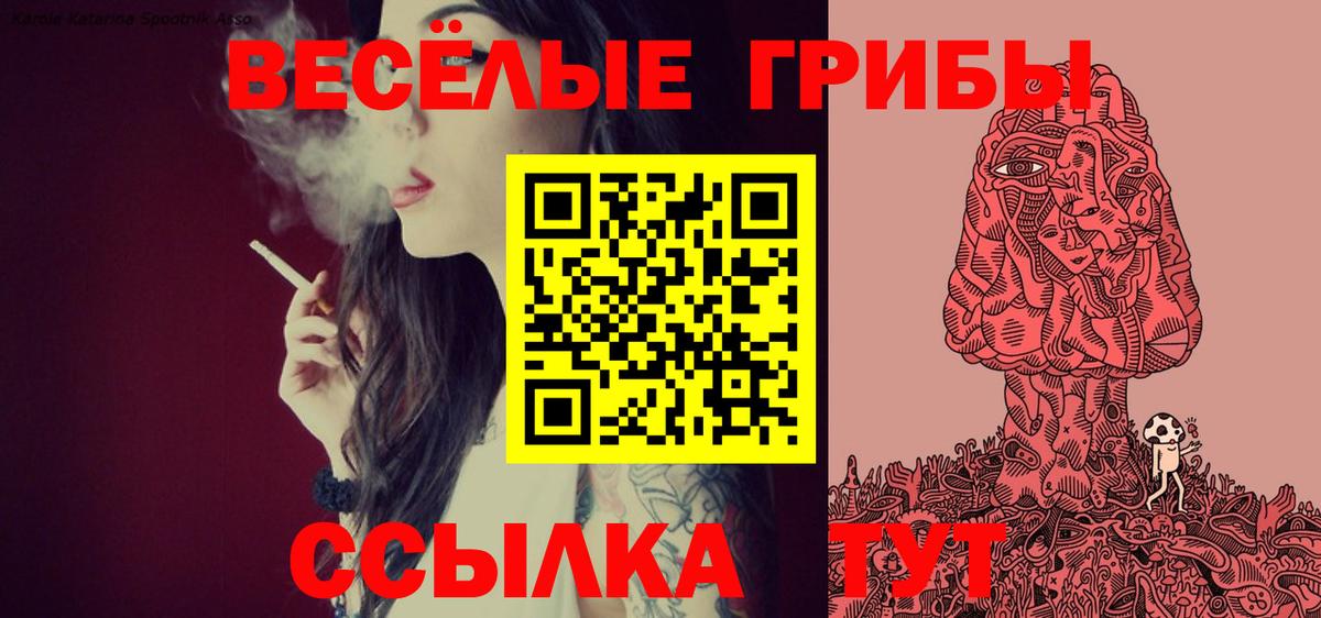 что такое наркотик  Вход с VPN  Псилоцибиновые грибы Psilocybe  Кириши  Галлюциногенные грибы мухоморы 