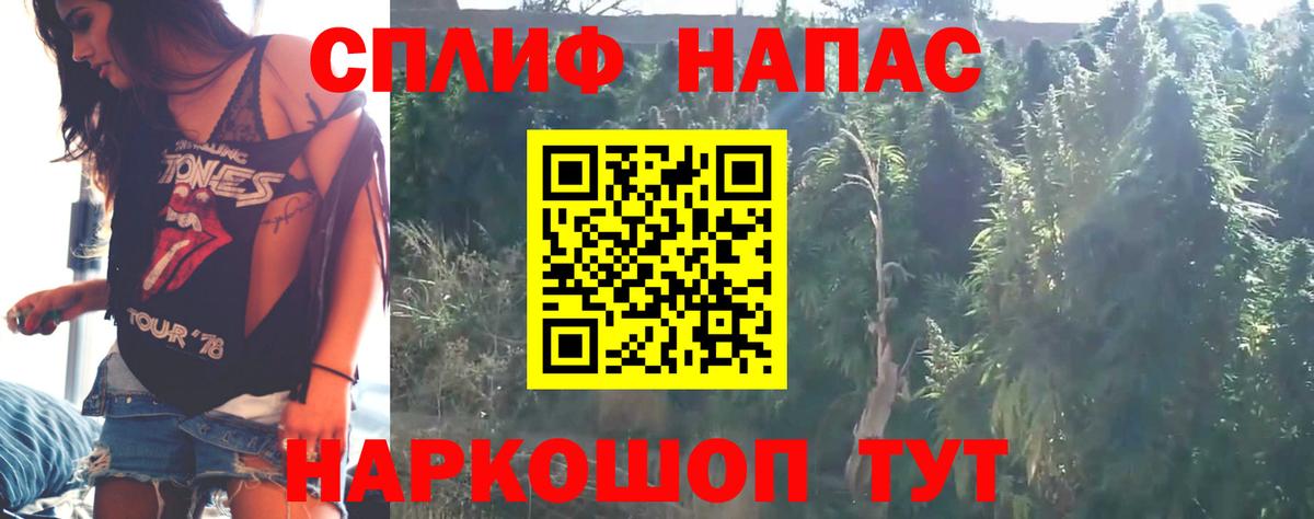 Бошки Шишки Amnesia Кириши